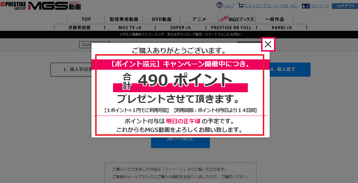 MSG動画をビットキャッシュで購入手順12